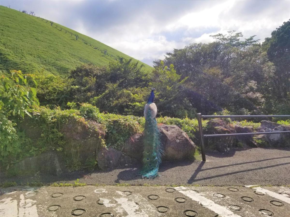 スマートステイ大室山3合目 Villa Futo Dış mekan fotoğraf